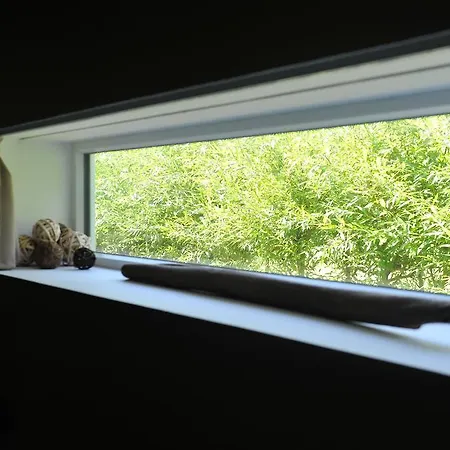 Chambres D'hotes Terre De Groseilles B&B